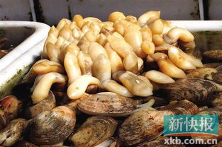 春节临近广州黄沙水产市场人气旺 部分海鲜价格上扬